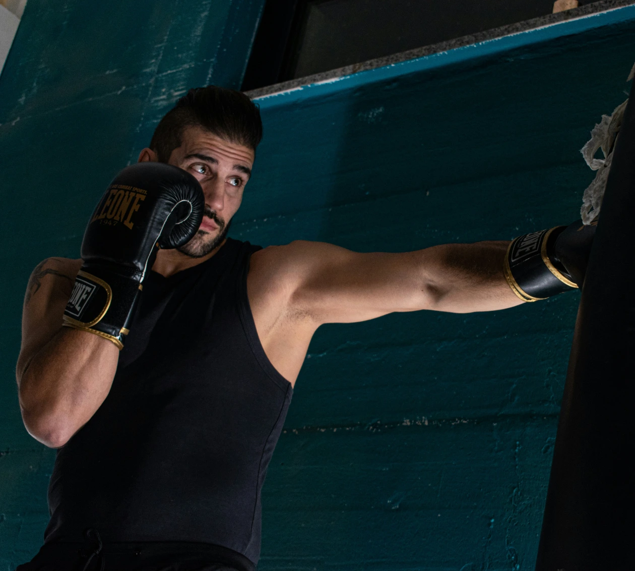 Training Image