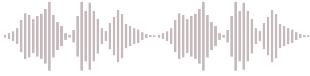 Voice Recoder