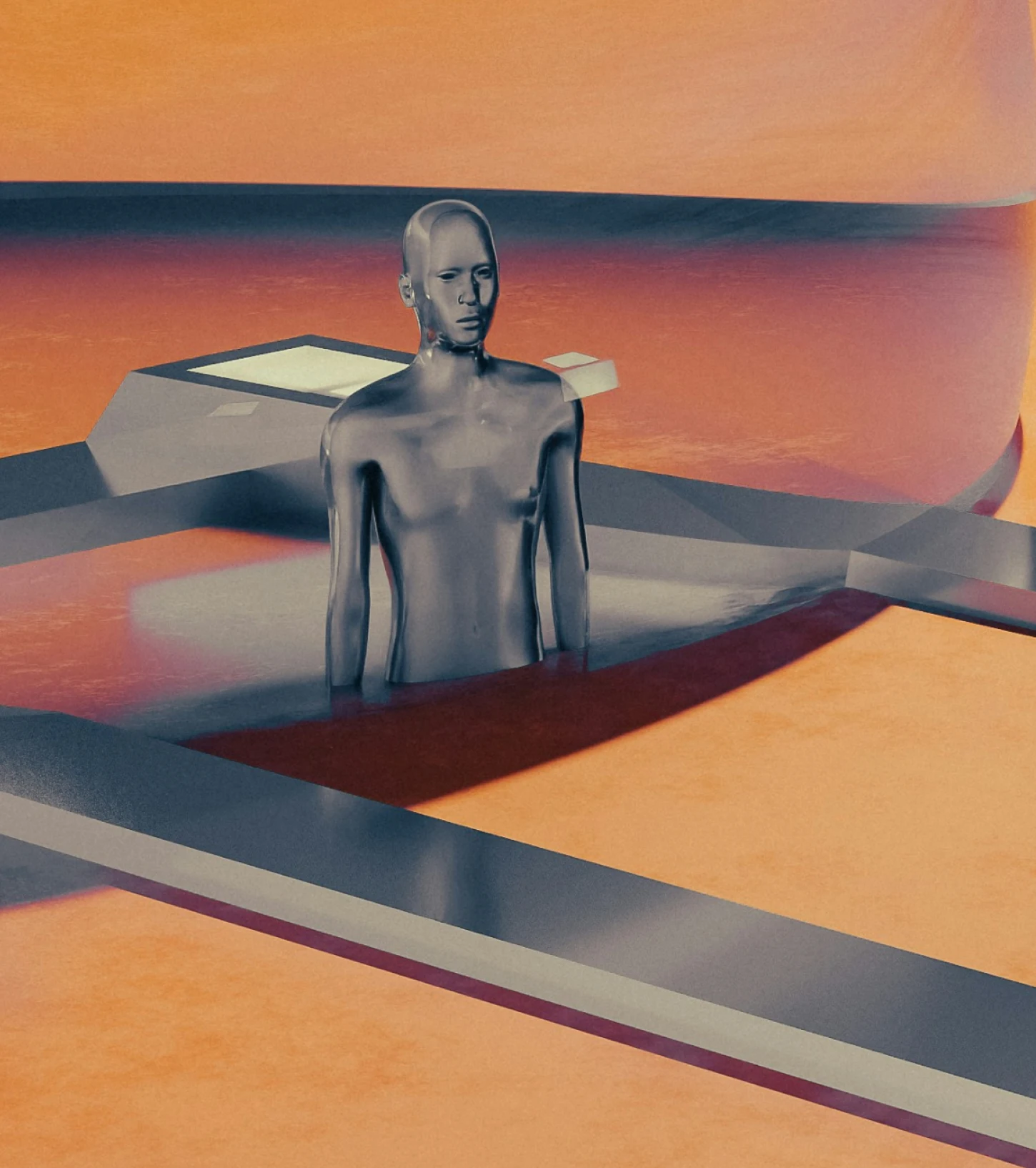 Human Body