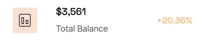 Balance Report